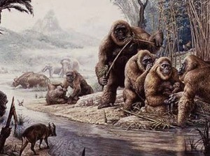 Ini Kera Terbesar yang Pernah Hidup di Bumi, Tingginya Mencapai 3 Meter