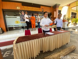 Pelaku Illegal Logging Hutan Lindung Buleleng Dibekuk