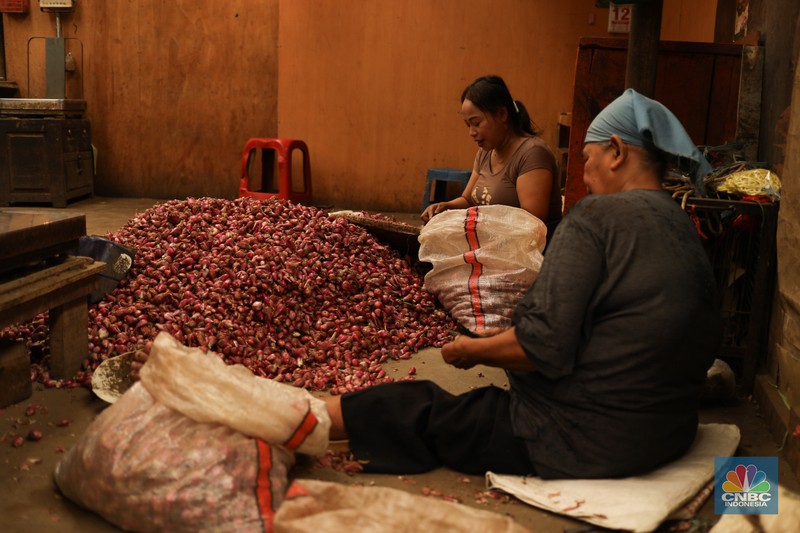 Pekerja membersihkan bawang merah yang baru tiba dari Brebes, di Pasar Induk, Kramat Jati, Jakarta Senin (13/5/2024). (CNBC Indonesia/Tri Susilo) Pekerja membersihkan bawang merah yang baru tiba dari Brebes, di Pasar Induk, Kramat Jati, Jakarta Senin (13/5/2024). (CNBC Indonesia/Tri Susilo)