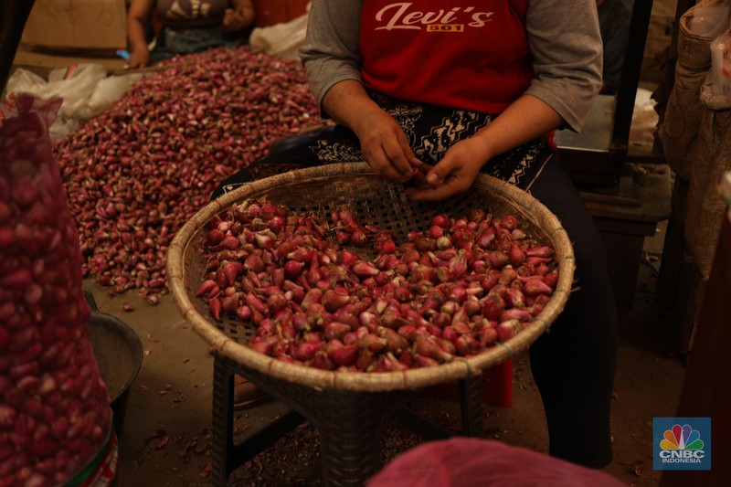 Pekerja membersihkan bawang merah yang baru tiba dari Brebes, di Pasar Induk, Kramat Jati, Jakarta Senin (13/5/2024). (CNBC Indonesia/Tri Susilo) Pekerja membersihkan bawang merah yang baru tiba dari Brebes, di Pasar Induk, Kramat Jati, Jakarta Senin (13/5/2024). (CNBC Indonesia/Tri Susilo)