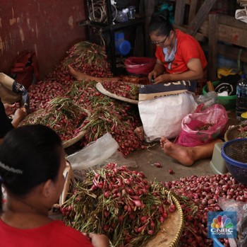 Harga Bawang Merah Masih 'Meroket' di Jakarta, di Pusat Grosir Segini