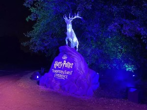 Seru-seruan Berkunjung ke Hutan Terlarang Harry Potter di Singapura