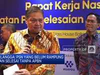 Video: Airlangga Sebut PSN yang Belum Rampung Akan Selesai Tanpa APBN