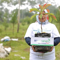 Terus Naik, Portofolio Pembiayaan Berkelanjutan BRI Capai Rp 787,9 T