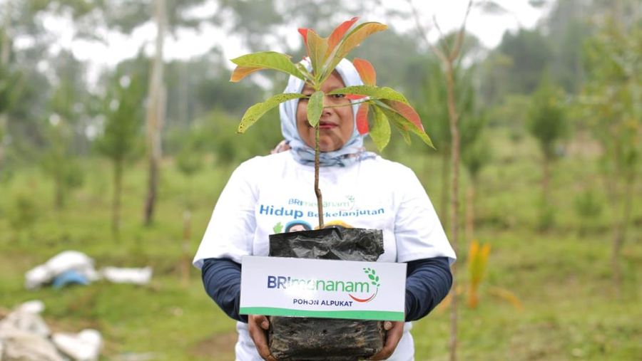 Dok BRI