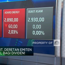 Emiten Batubara Royal Bagi Dividen Meski Laba Susut, Layak Koleksi?