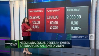Emiten Batubara Royal Bagi Dividen Meski Laba Susut, Layak Koleksi?
