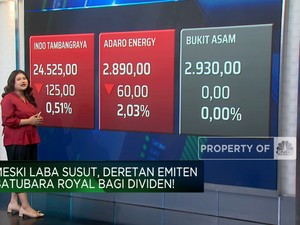 Emiten Batubara Royal Bagi Dividen Meski Laba Susut, Layak Koleksi?