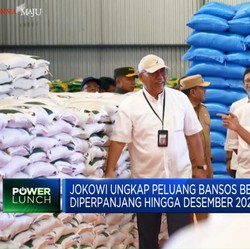 Jokowi Ungkap Peluang Bansos Beras Diperpanjang Hingga Desember 2024