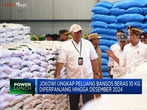 Jokowi Ungkap Peluang Bansos Beras Diperpanjang Hingga Desember 2024