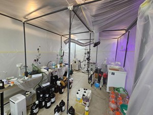Bikin Lab Narkoba di Bali, WN Ukraina Pesan Biji Ganja dari Rumania