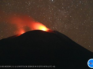 Hutan Lindung di Lembata Terbakar gegara Letusan Gunung Ile Lewotolok