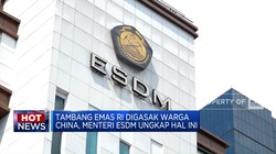 Video: Tambang Emas Ilegal Hingga Kompleks Masjid Al-Aqsa Diserbu