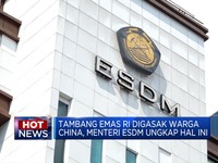 Video: Tambang Emas Ilegal Hingga Kompleks Masjid Al-Aqsa Diserbu