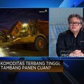Harga Komoditas Terbang, MDKA Siap Garap Tambang Tembaga Kelas Dunia