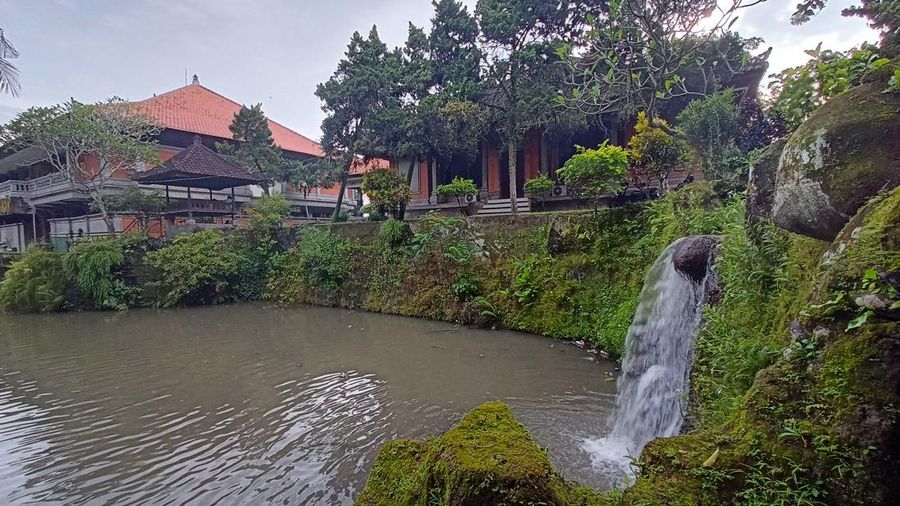 Pemkab Tabanan akan menghibahkan aset lahan di area Museum Subak kepada PUPR untuk dibangun fasilitas event World Water Forum. (Dok. Detikcom/Chairul Amri Simabur)