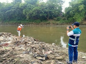 Fenomena Bladu Terjadi Lagi di Bengawan Solo, Perum Jasa Tirta I Ambil Sampel