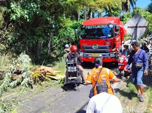 Pohon Tumbang Timpa Mobil dan Motor, Jalur Amlapura-Denpasar Macet 3 Km