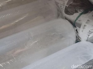 Polda Babel Tetapkan 10 Tersangka dalam Kasus Penyelundupan Benih Lobster