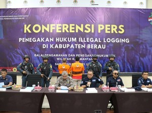 Gakkum KLHK Bongkar Jaringan Kayu Ilegal Berau-Surabaya, Ada 2 Tersangka