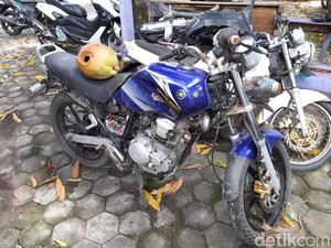 Kronologi Pemotor Tewas Tabrak Pohon Usai Tertimpa Buah Kelapa di Selayar