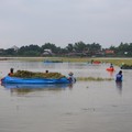 Kepala BMKG Minta Petani Siap Siaga Petaka Iklim, Cara Lama