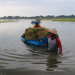 Deretan Banjir Terbesar Pernah Terjadi di Indonesia, Termasuk Jakarta