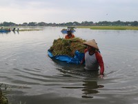 Deretan Banjir Terbesar Pernah Terjadi di Indonesia, Termasuk Jakarta