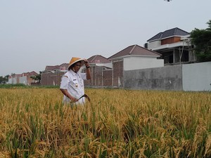Wabup Klaten Dukung Desa Jomboran Pertahankan Lahan Pertanian
