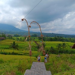 Pesona Subak Jatiluwih yang Sarat Nilai Budaya Leluhur