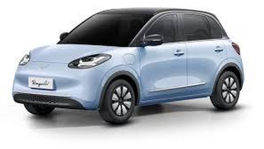 wuling binguo