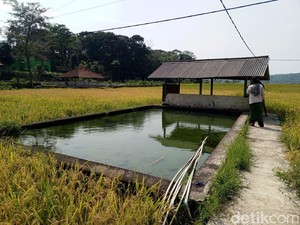 Melihat Mata Air Cigempol Sumedang yang Tak Pernah Surut Meski Kemarau