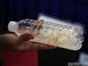 Lobster dan Aturan Pengelolaannya