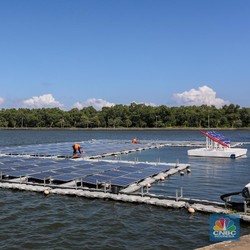 Ini Alasan Mengapa Hutan Mangrove Begitu Penting