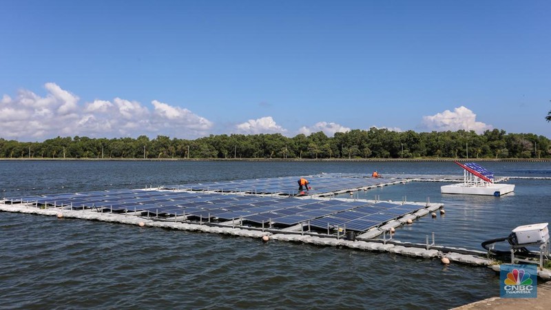 Suasana kawasan mangrove Taman Hutan Raya (Tahura) Ngurah Rai, Bali, Jumat (17/5/2024). (CNBC Indonesia/Faisal Rahman)