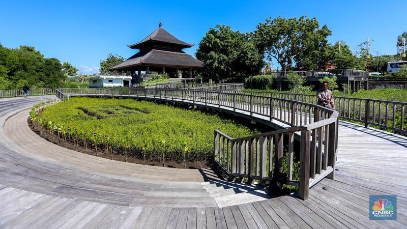 Suasana kawasan mangrove Taman Hutan Raya (Tahura) Ngurah Rai, Bali, Jumat (17/5/2024). (CNBC Indonesia/Faisal Rahman)