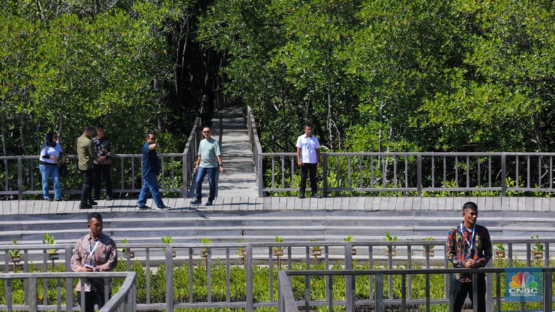Suasana kawasan mangrove Taman Hutan Raya (Tahura) Ngurah Rai, Bali, Jumat (17/5/2024). (CNBC Indonesia/Faisal Rahman) Suasana kawasan mangrove Taman Hutan Raya (Tahura) Ngurah Rai, Bali, Jumat (17/5/2024). (CNBC Indonesia/Faisal Rahman)