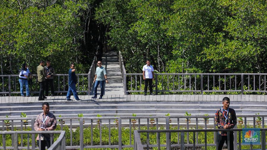 Suasana kawasan mangrove Taman Hutan Raya (Tahura) Ngurah Rai, Bali, Jumat (17/5/2024). (CNBC Indonesia/Faisal Rahman)