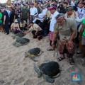 Potret Peserta World Water Forum Lepasliarkan Penyu di KEK Kura-Kura