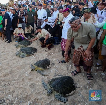 Potret Peserta World Water Forum Lepasliarkan Penyu di KEK Kura-Kura