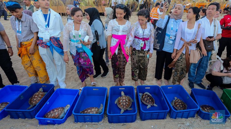 Peserta dan delegasi melakukan pelepasliaran penyu saat acara Balinese Water Purification Ceremony di Kawasan Ekonomi Khusus (KEK) Kura Kura, Denpasar, Bali, Sabtu (18/5/2024). (CNBC Indonesia/Faisal Rahman)