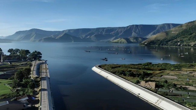 Danau Toba Surut, Ikan Mati Massal Bergelimpangan