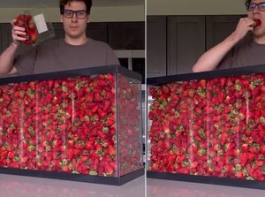 Gokil! Pria Ini Berhasil Habiskan Strawberry dalam Akuarium 100 Liter