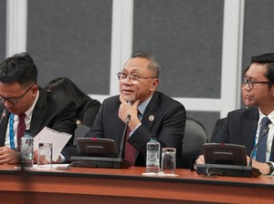 RI Mau Impor Sapi Hidup dari Selandia Baru