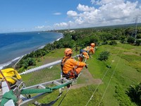 Ini Jurus PLN Distribusikan Energi Hijau ke Pusat Permintaan Listrik
