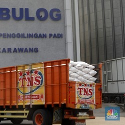 Muncul Tanda-Tanda Bahaya, Bulog Diminta Segera Tumpuk Beras
