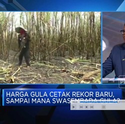 Video: Gerak Cepat PTPN III Wujudkan Target Swasembada Gula RI 2028