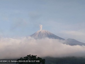 Gunung Semeru Erupsi Pagi Ini Dua Kali, Ketinggian Letusan 800 Meter