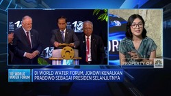 Video: Jokowi Ajak Delegasi World Water Forum ke Taman Hutan Raya