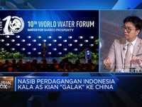Video: Pentingnya 4 Tema World Water Forum Bali Bagi Dunia & Indonesia